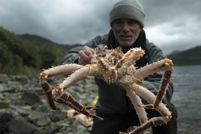 Landscape MS of Jeremy Wade crouching down holding a spider crab to the camera against a moody sky. Crab in focus, Jeremy out of focus.  Location: Dutch Harbor, AK