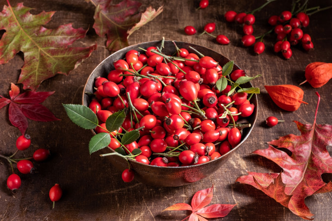 Fresh rose hips in a bowl on a table with autumn leaves