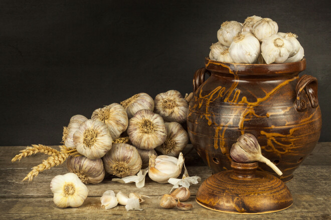 Garlic on a wooden table. Healthy food. Home flu treatment. Aromatic spices