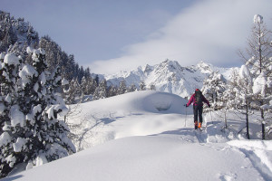 roter_hahn_jizni_tyrolsko_01