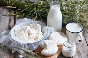 Tzfat cheese milk cottage cheese wheat and oat grains on old wooden background. Concept of judaic holiday Shavuot.