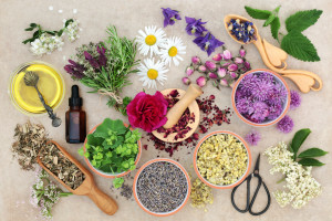Natural herbal medicine with fresh herbs and flowers, aromatherapy essential oil, mortar with pestle and scissors on hemp paper background. Top view.