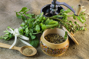 coriander - fresh leaves, seeds and ground coriander