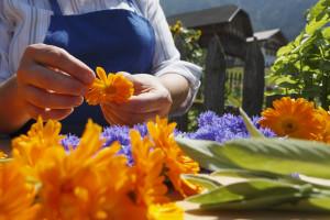 Südtirol, Seis, Juli 2009, Shooting: Kräuter und Garten,
Südtiroler Bauernbund,