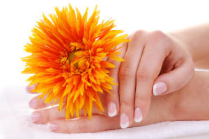 Female hands with nice french manicure and a flower on white towel