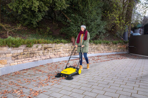 S_4_Twin_autumn_sweeping_app_01_CI20_300 dpi (jpg)