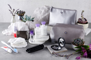 emiratesbusinessclassamenitykits2023-silverandlilac