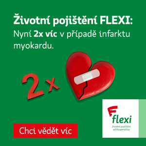 2x vic 300x300