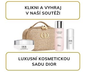 banner_dior_250