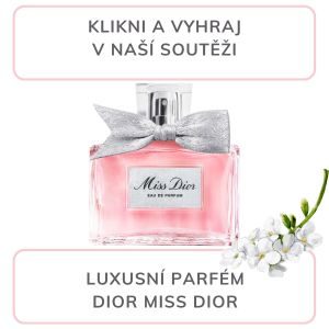 banner_dior_300